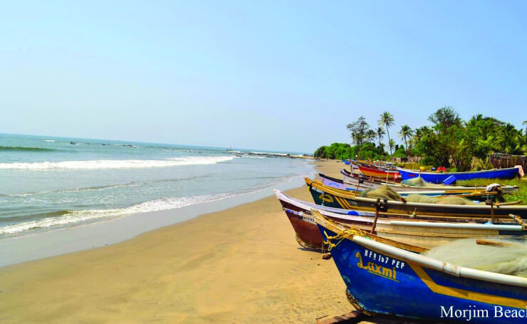 11 Things You Shouldn’t Miss Out When Visiting Goa Morjim-beach-goa